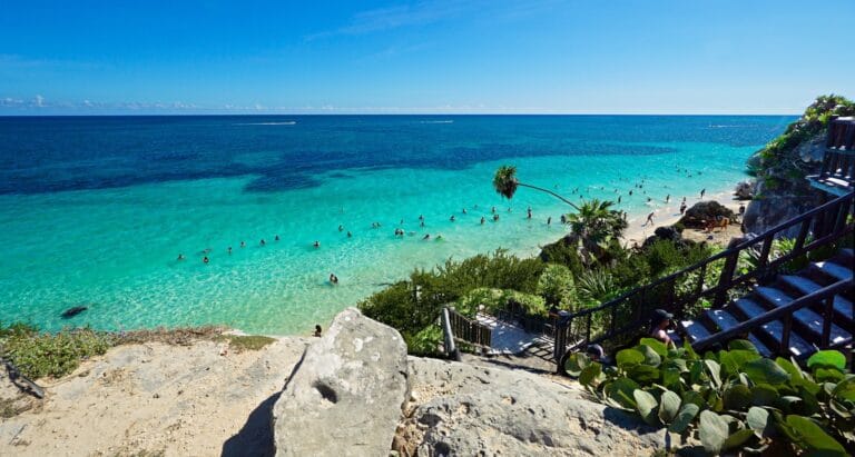 Riviera Maya Tours green palm trees on white sand beach during daytime