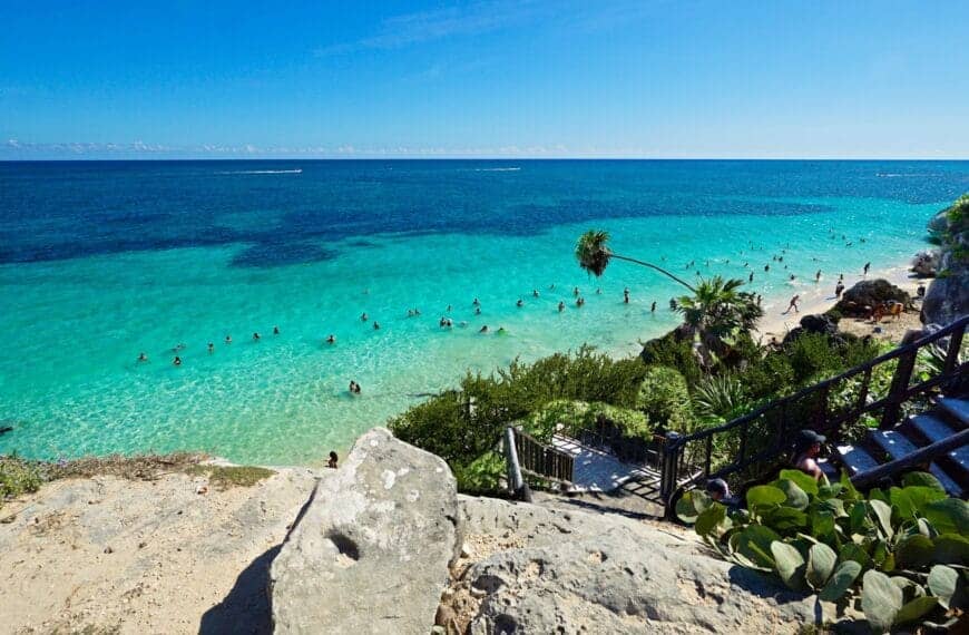 Riviera Maya Tours green palm trees on white sand beach during daytime
