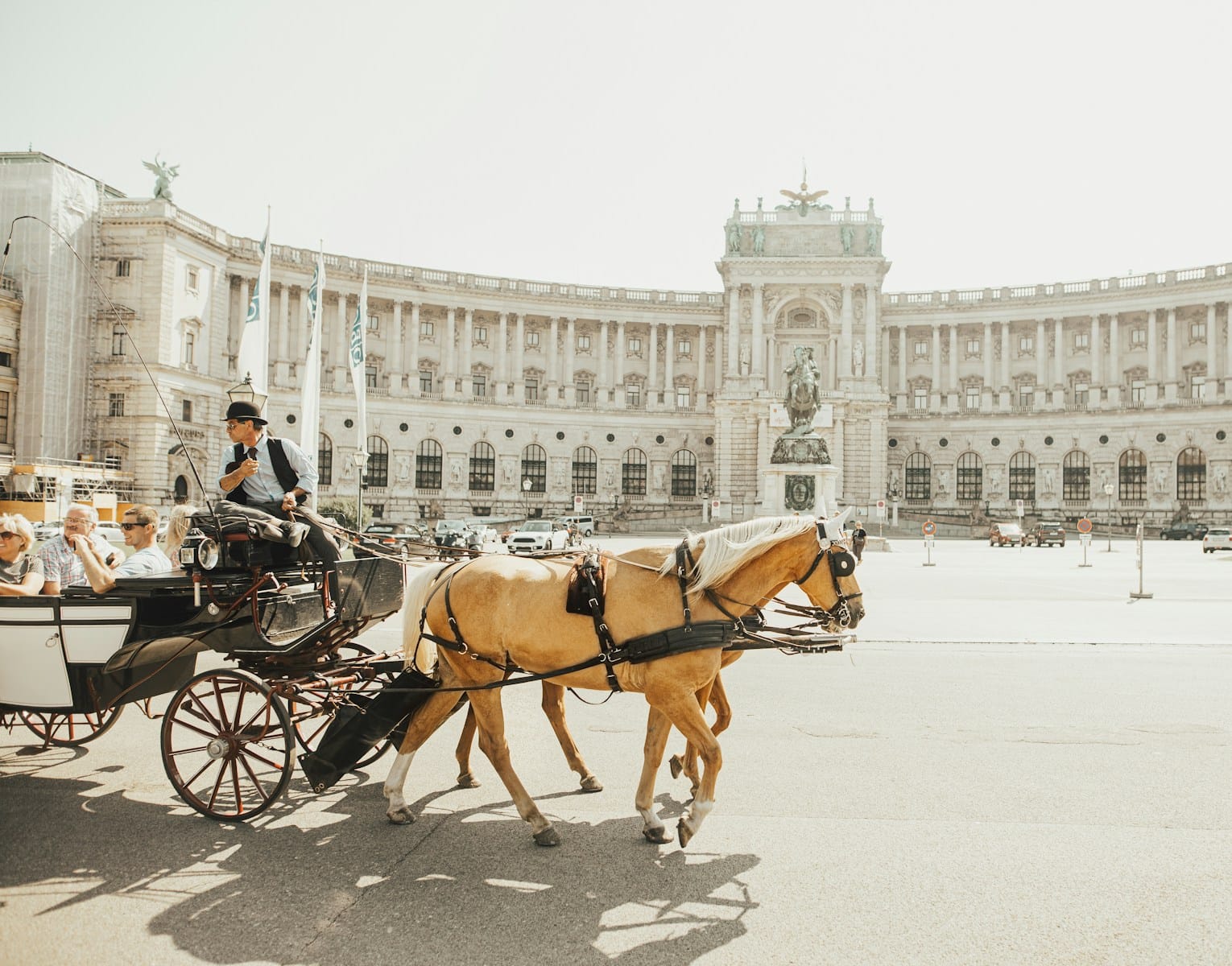 vienna tours man riding horse carriage on road during daytime