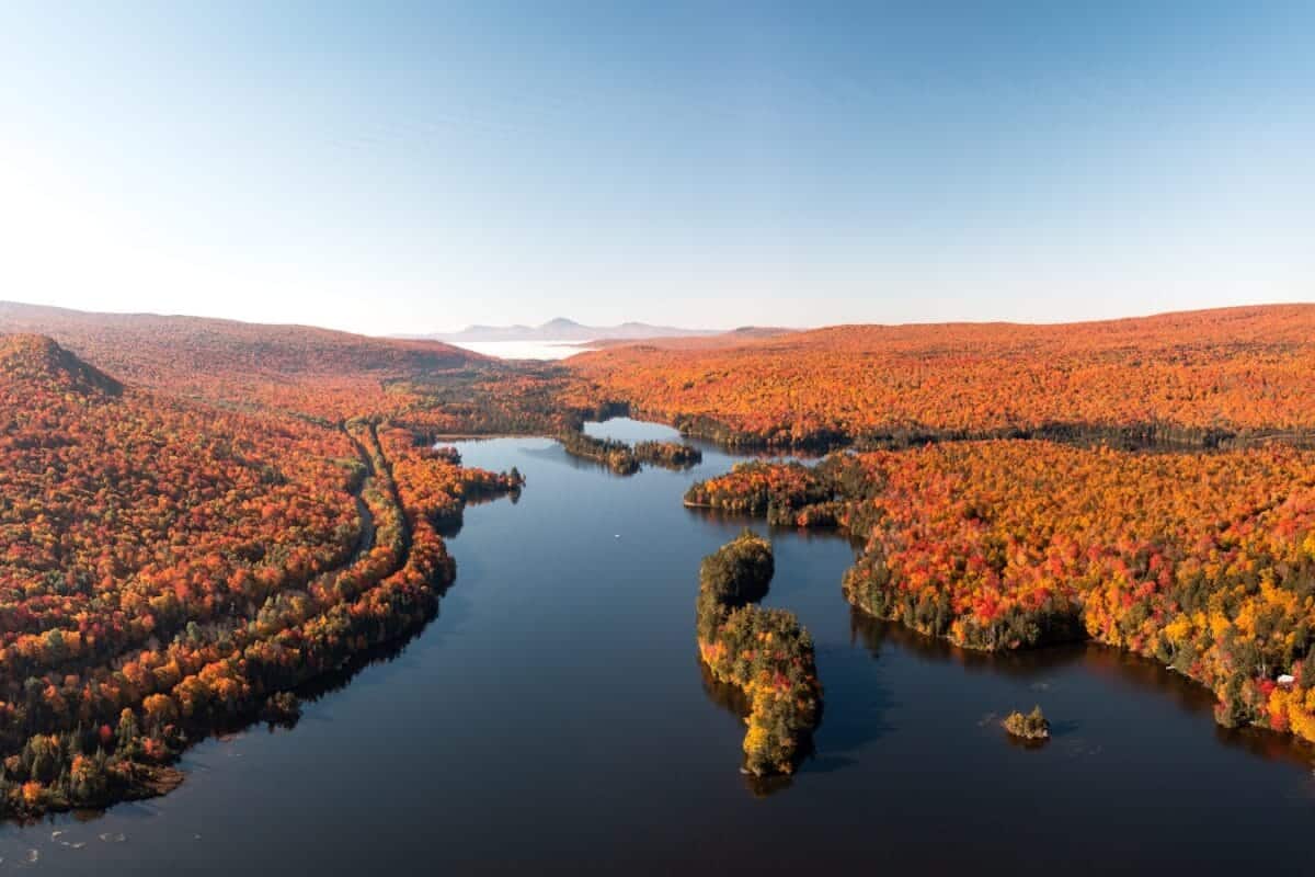 New England Tours a river with trees on the banks