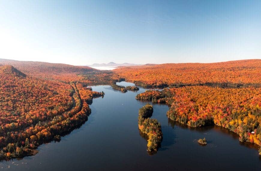 New England Tours a river with trees on the banks