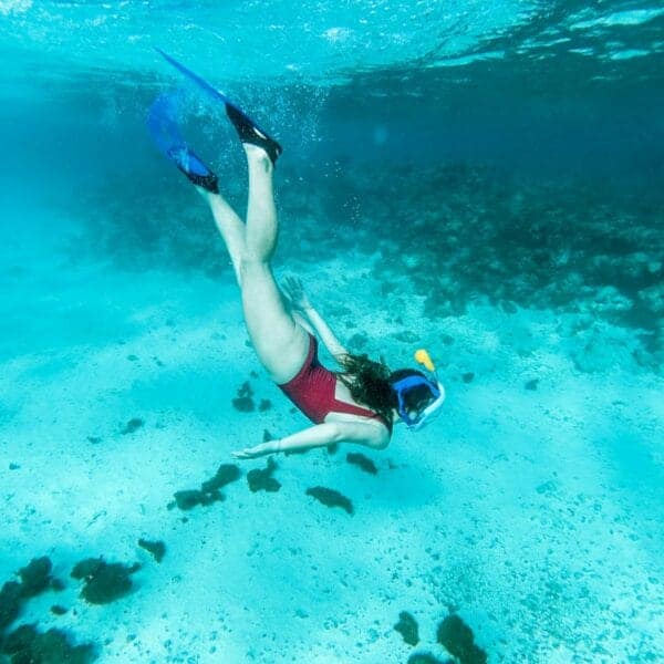 Molokini Crater Tours: Snorkel, Dive & Sail Adventures