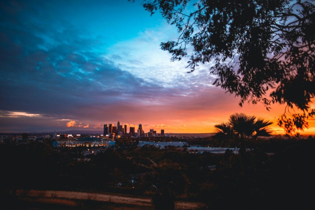 Downtown LA (DTLA) trees during golden hour