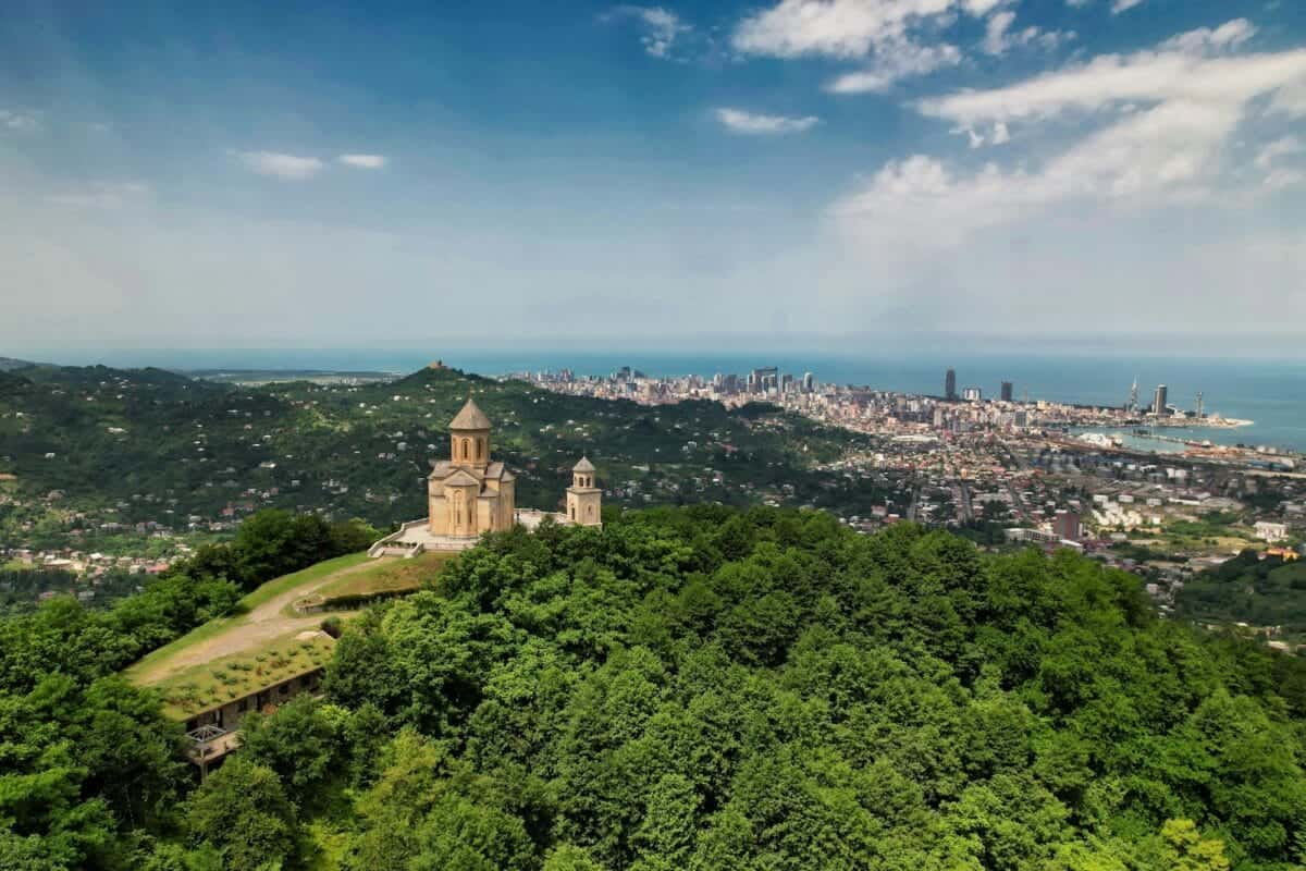 Georgia Travel Guide green trees near body of water under blue sky during daytime