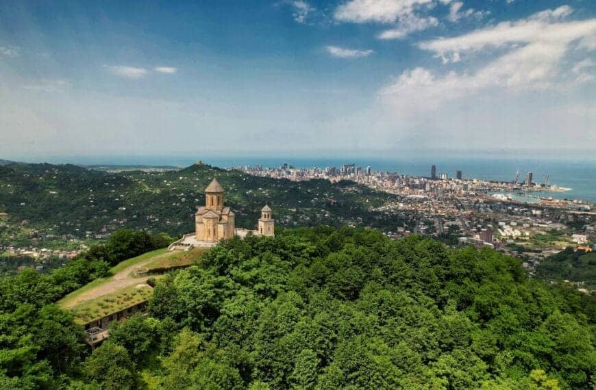 Georgia Travel Guide green trees near body of water under blue sky during daytime
