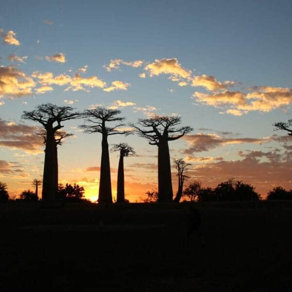 Madagascar Travel Guide