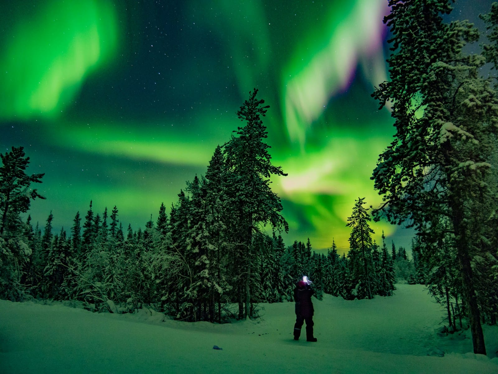 Northwest Territories travel guide man standing on snow field with trees under Aurora borealis