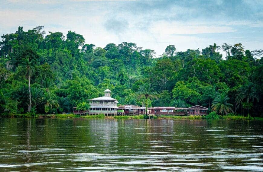 Central Africa Travel Guide Houses sit by a body of water in a forest.