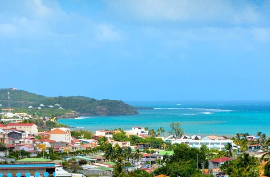 Martinique Tours a view of a city with a body of water in the background