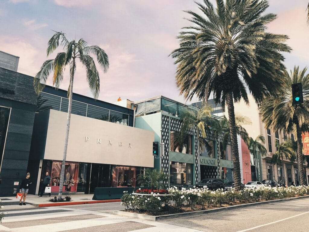 Beverly Hills & Rodeo Drive palm trees in front of white concrete building