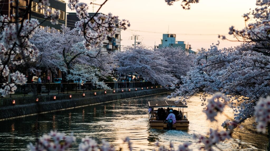 Kyoto Tours people riding on boat on river during daytime