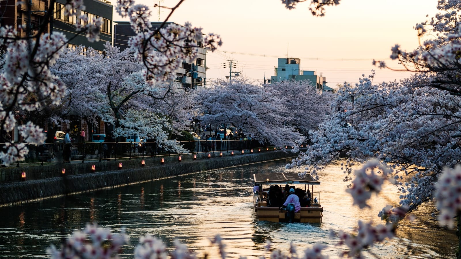 Kyoto Tours people riding on boat on river during daytime