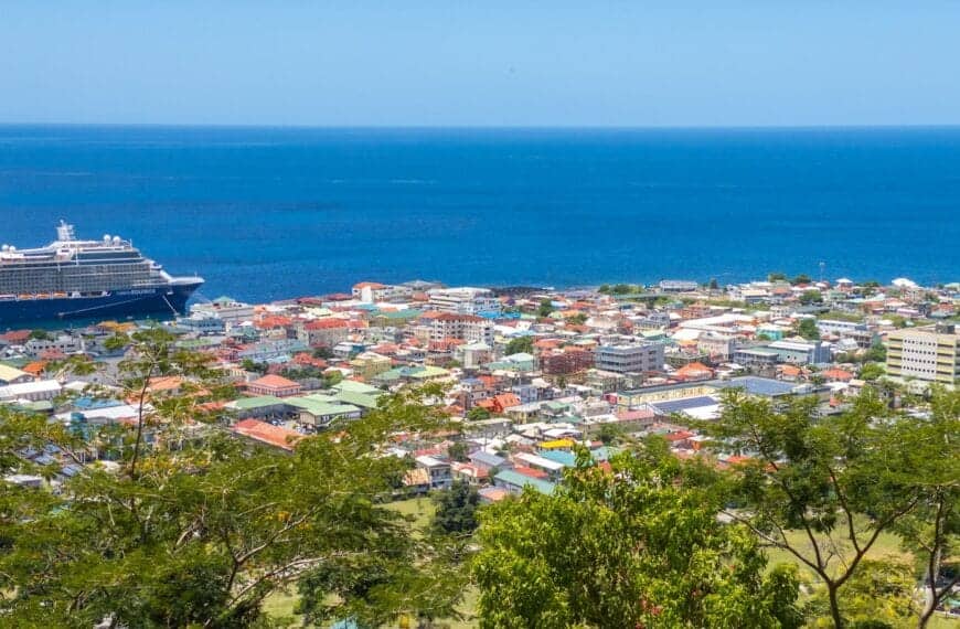 Dominica Tours a cruise ship is docked in the water near a city