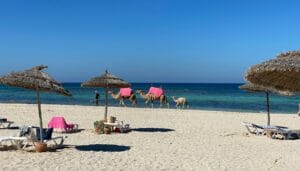 North Africa Travel Guide people on beach during daytime