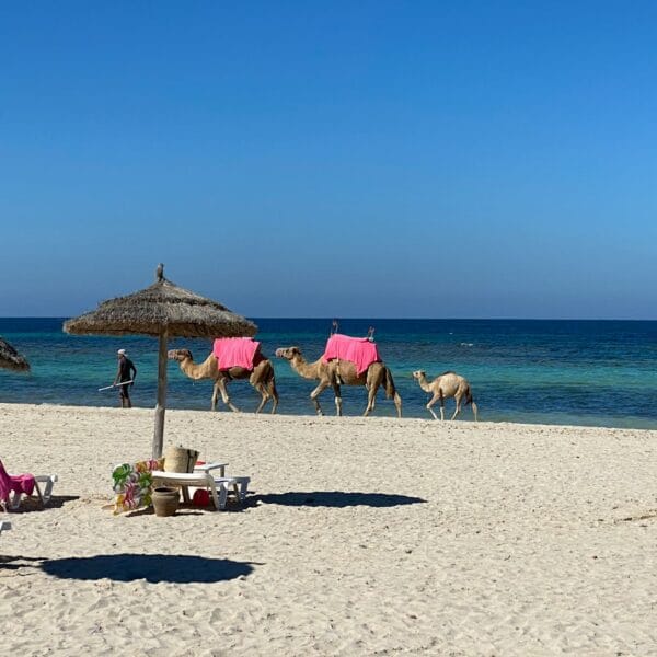 North Africa Travel Guide
