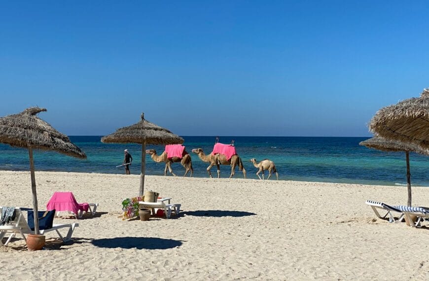 North Africa Travel Guide people on beach during daytime