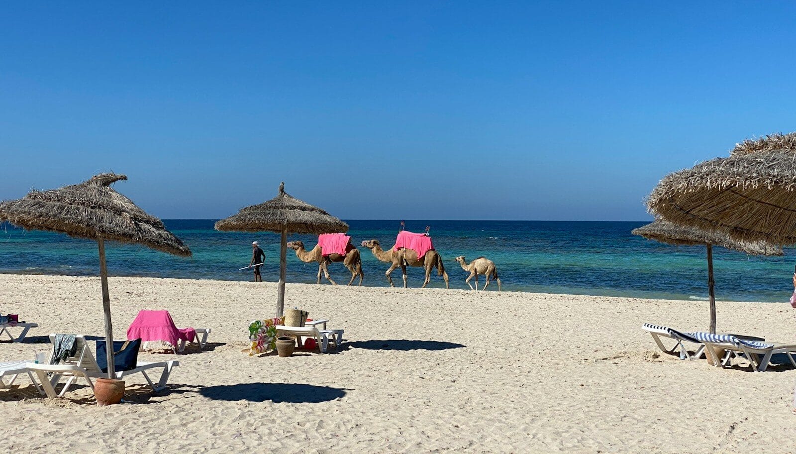 North Africa Travel Guide people on beach during daytime