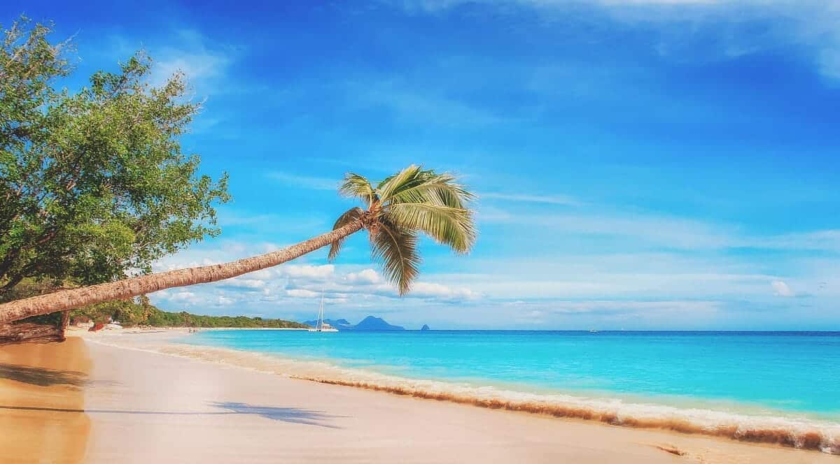 Travel Ideas Sitemap beach, the caribbean, paradise, sand, the sky, country, beach cityscape, holiday, nature, experience, water, bathing, holidays, the sea, sand beach, palm tree, ocean