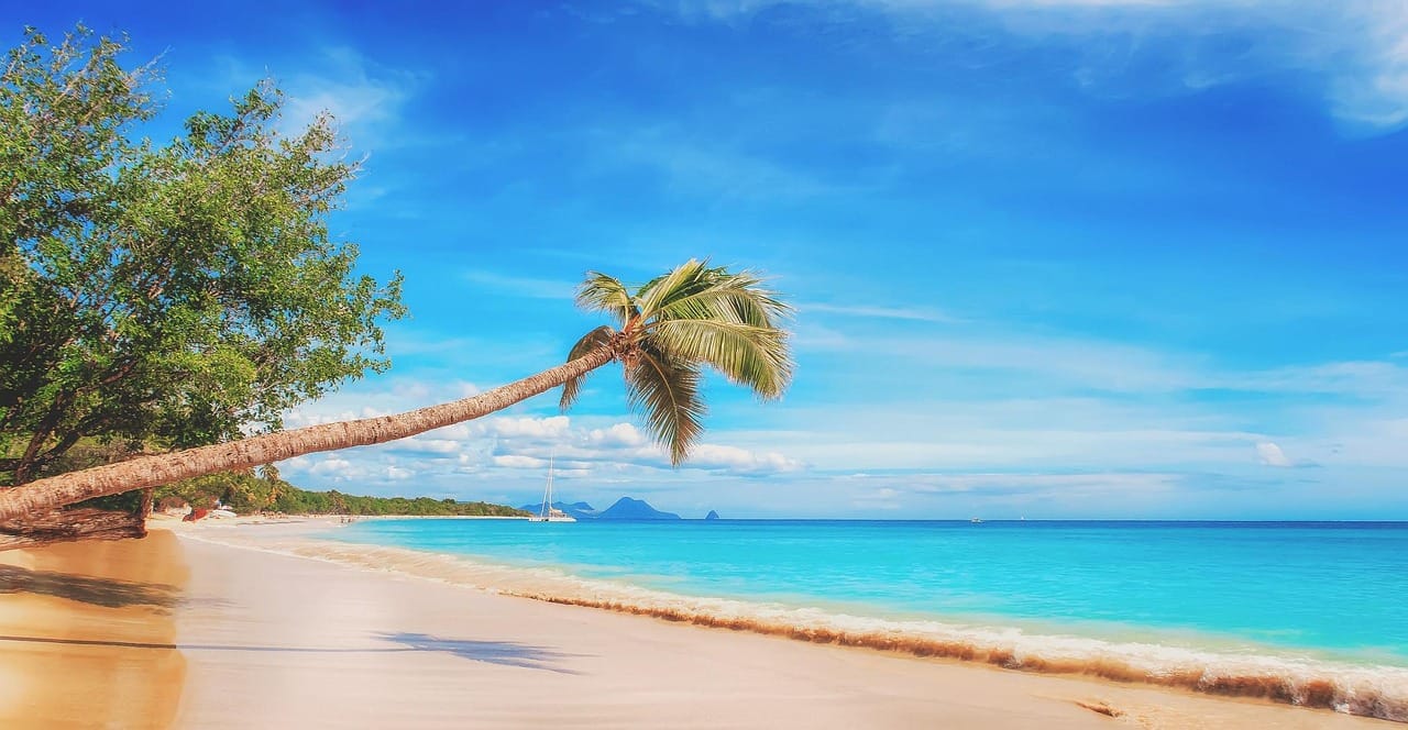 Sitemap beach, the caribbean, paradise, sand, the sky, country, beach cityscape, holiday, nature, experience, water, bathing, holidays, the sea, sand beach, palm tree, ocean