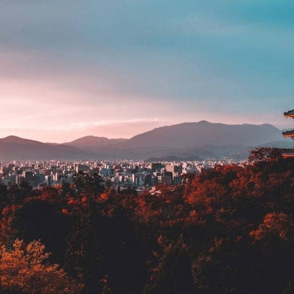 kyoto travel guide pagoda surrounded by trees