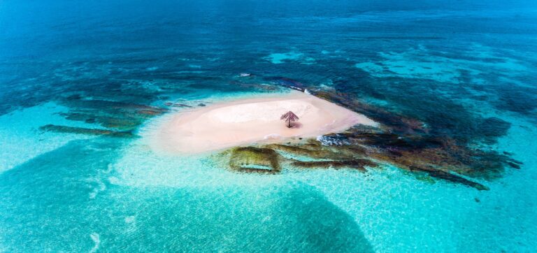 Caribbean Countries & Territories black and white whale on blue water