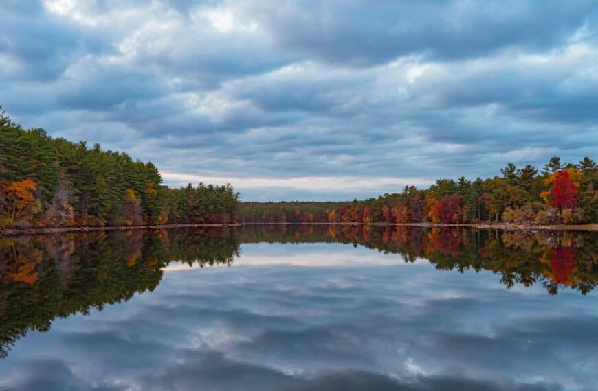 New England Travel Guide green trees beside river under cloudy sky during daytime