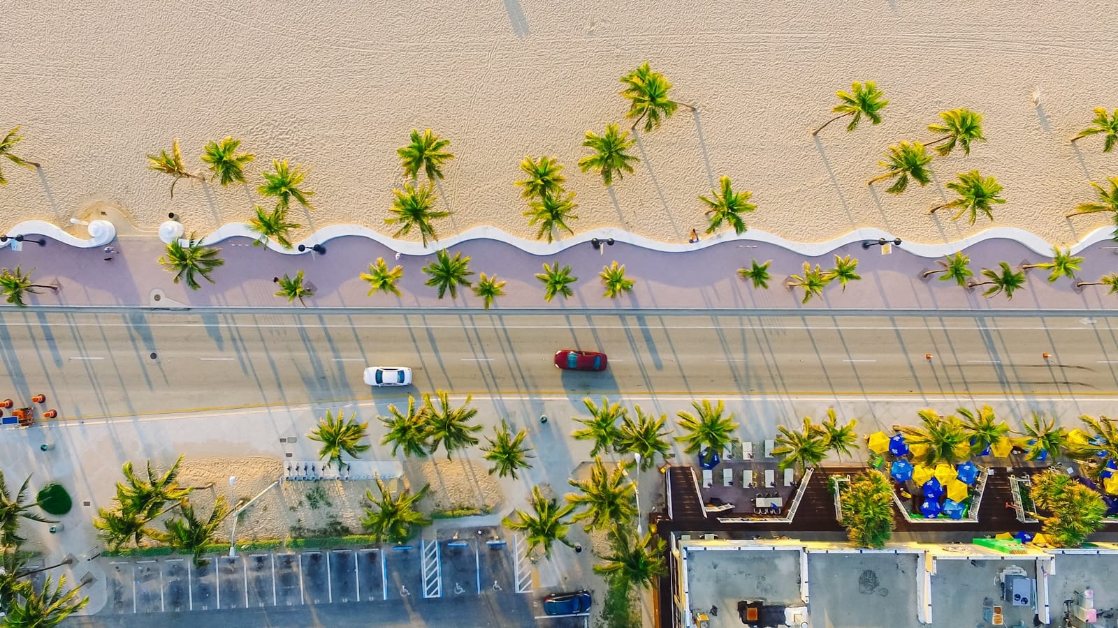 Florida Travel Guide high-angle photography of two red and white vehicles on concrete road between trees and buildings at daytime