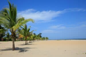 Gambia Travel Guide Palm trees line a beautiful, sunny beach.