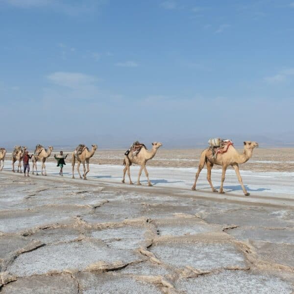 Ethiopia Travel Guide Across Vast and Varied Regions