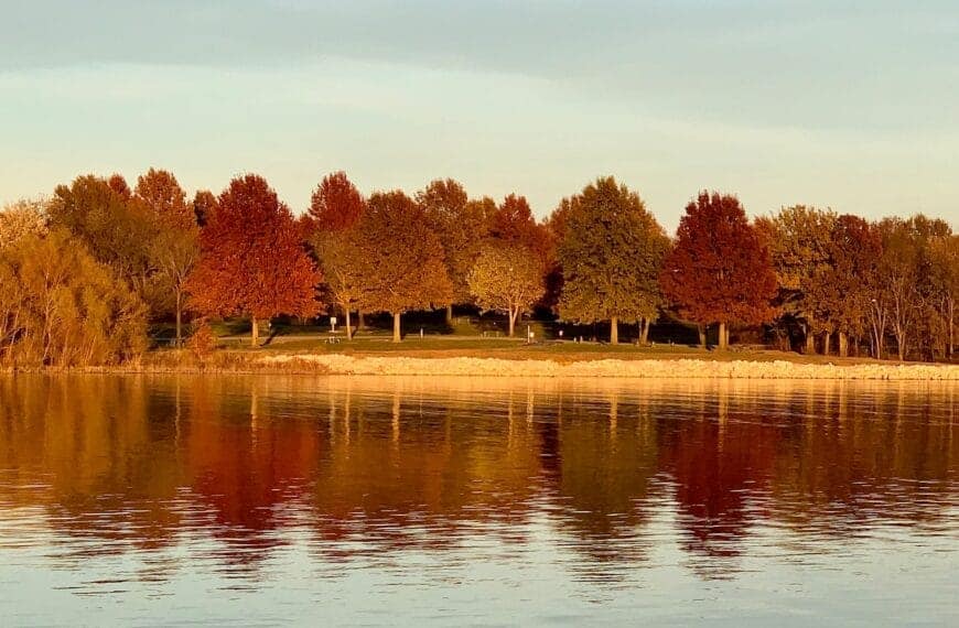 Missouri Travel Guide a body of water surrounded by lots of trees