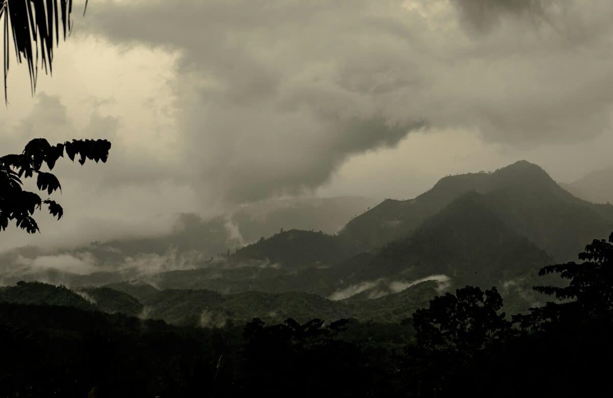 Montserrat British Territory beaches, volcanoes, island hopping, native culture silhouette of coconut palm tree during daytime