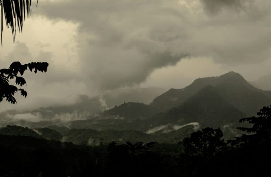 Montserrat British Territory beaches, volcanoes, island hopping, native culture silhouette of coconut palm tree during daytime