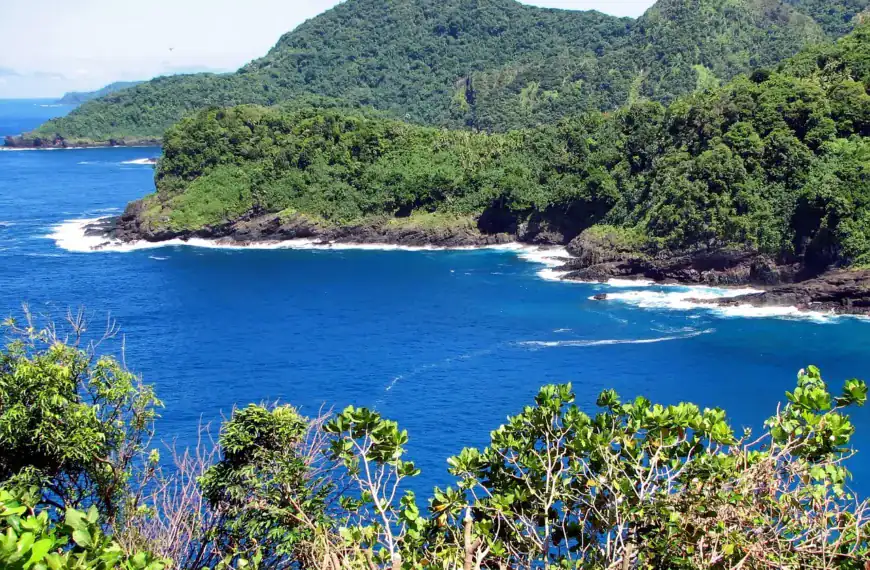 American Samoa Travel Guide, landscape, scenic, tropics, forest, trees, sea, ocean, bay, water, nature, outside, american samoa, american samoa, american samoa, american samoa, american samoa