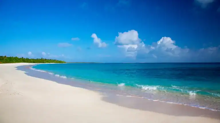 Marshall Islands Travel Guide beach under white and blue cloudy sky during daytime