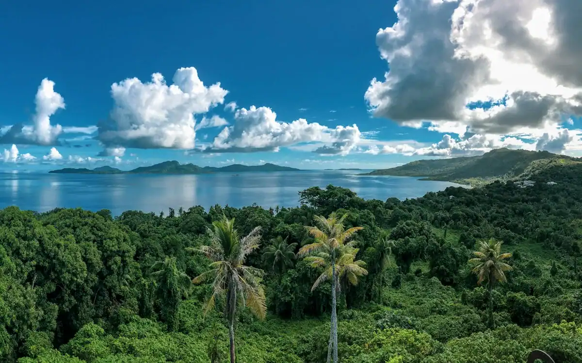 Federated States of Micronesia green trees and mountains