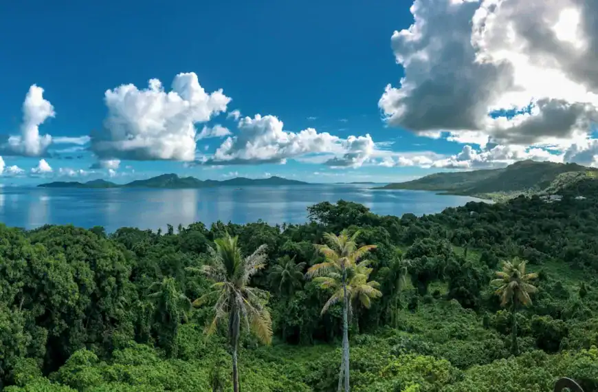 Federated States of Micronesia green trees and mountains