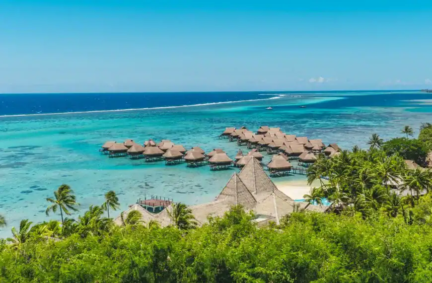 moorea travel guide A tropical beach with thatched huts and blue water