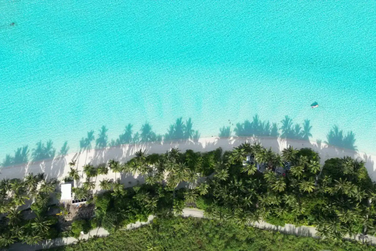 Kiribati Travel Guide Aerial view of a beach with palm trees.
