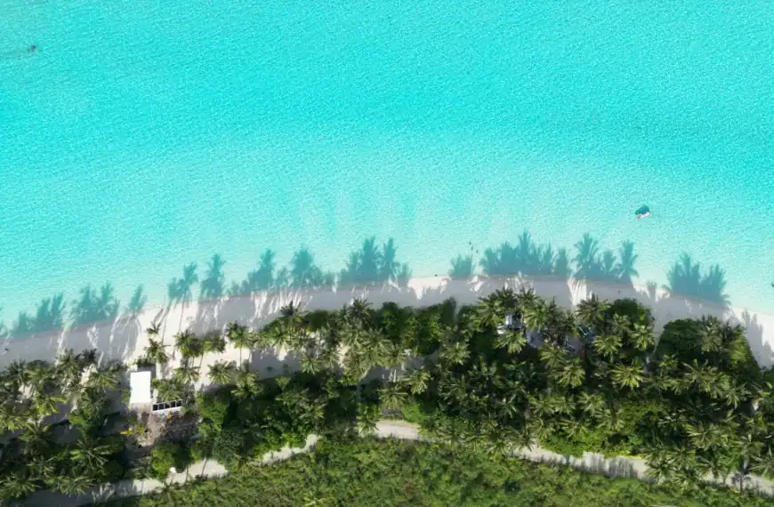 Kiribati Travel Guide Aerial view of a beach with palm trees.