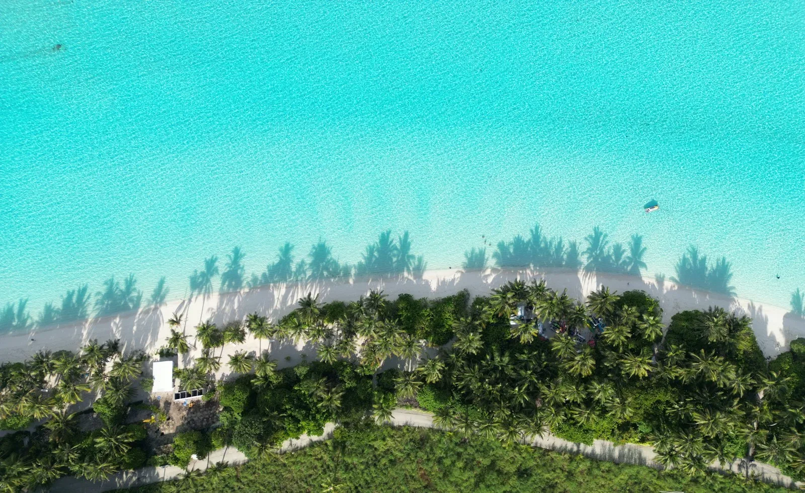 Kiribati Travel Guide Aerial view of a beach with palm trees.