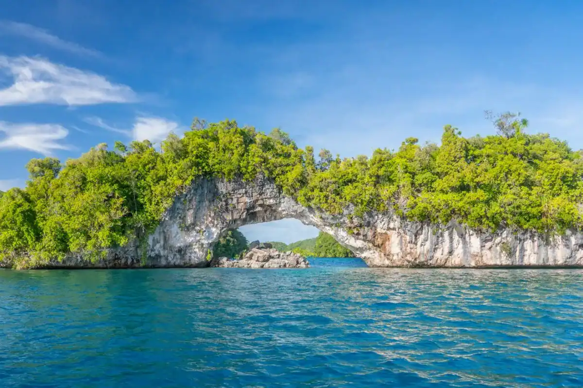 Palau Travel Guide an island in the middle of a body of water