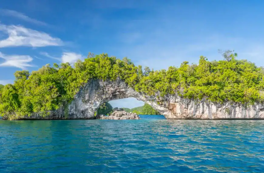 Palau Travel Guide an island in the middle of a body of water