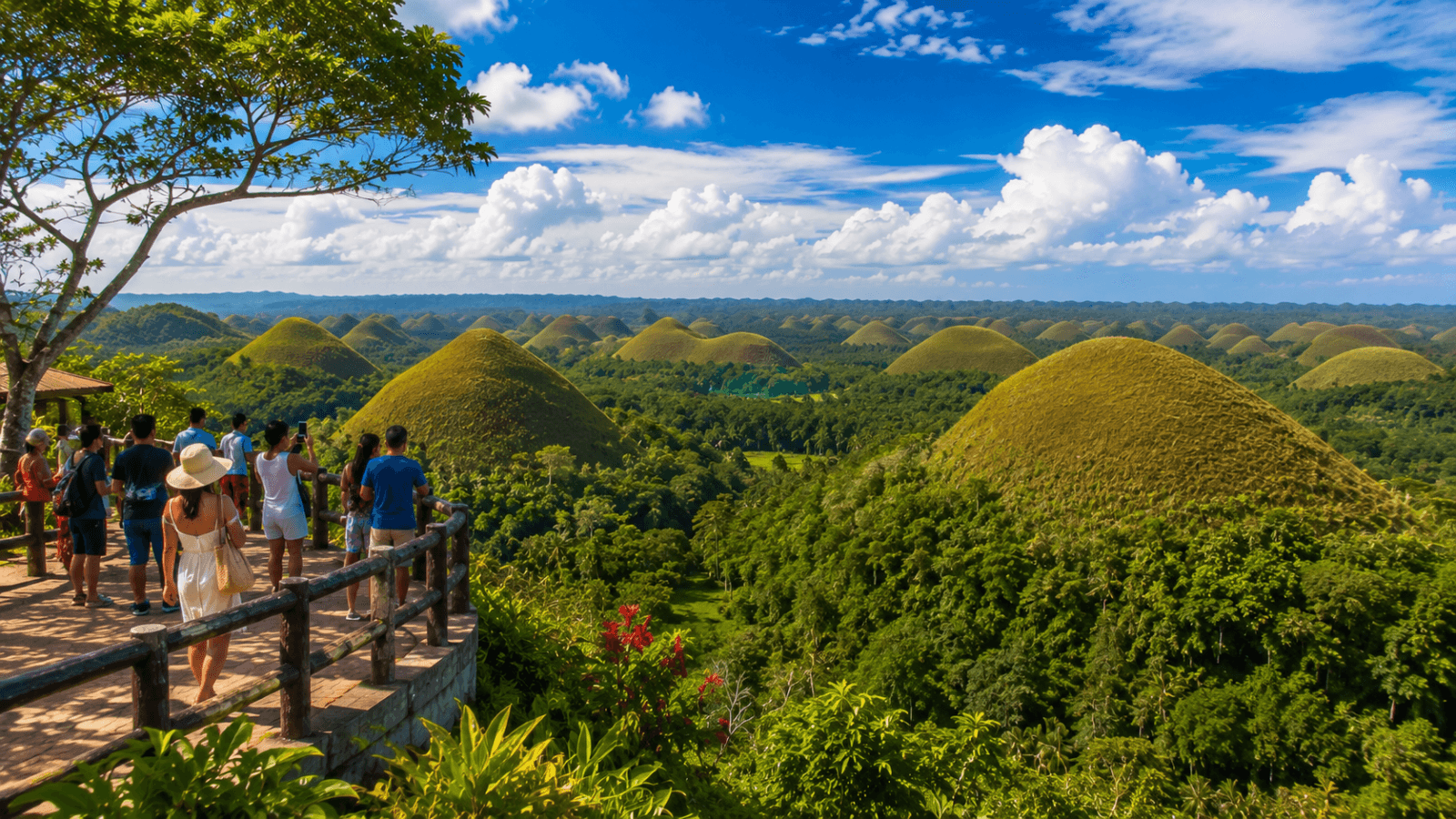 Bohol Travel Guide Tropical hill vista from observation deck