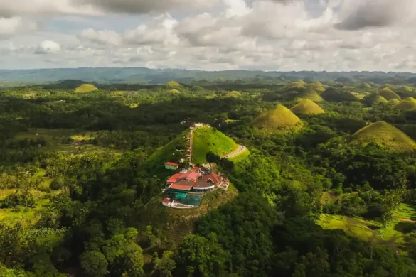 Bohol Travel Guide for Day-Trip Planning