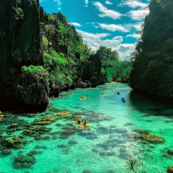 Palawan Travel Guide for Transfer Efficiency