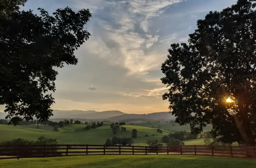 Shenandoah Valley green grass field